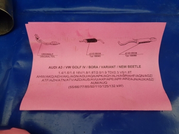 Edelstahl Auspuffanlage von Novus im Diesellook 1x60