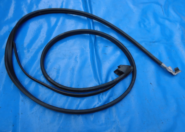 VW Golf 1 Cabrio Türdichtung links
