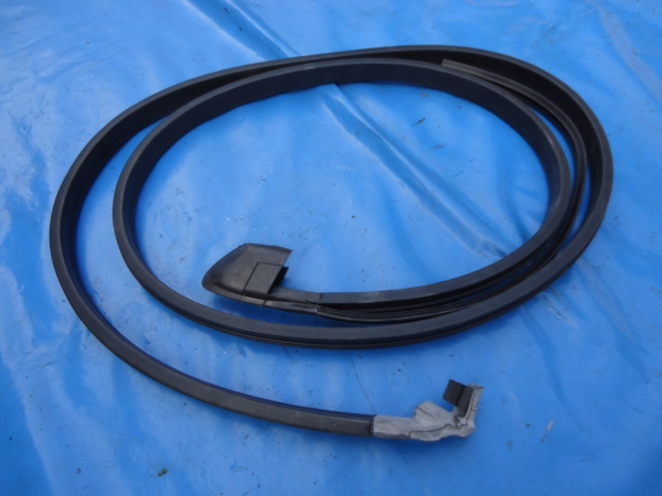VW Golf 1 Cabrio Türdichtung links